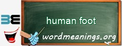 WordMeaning blackboard for human foot